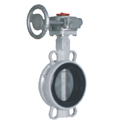 Outdoor dedicated butterfly valve